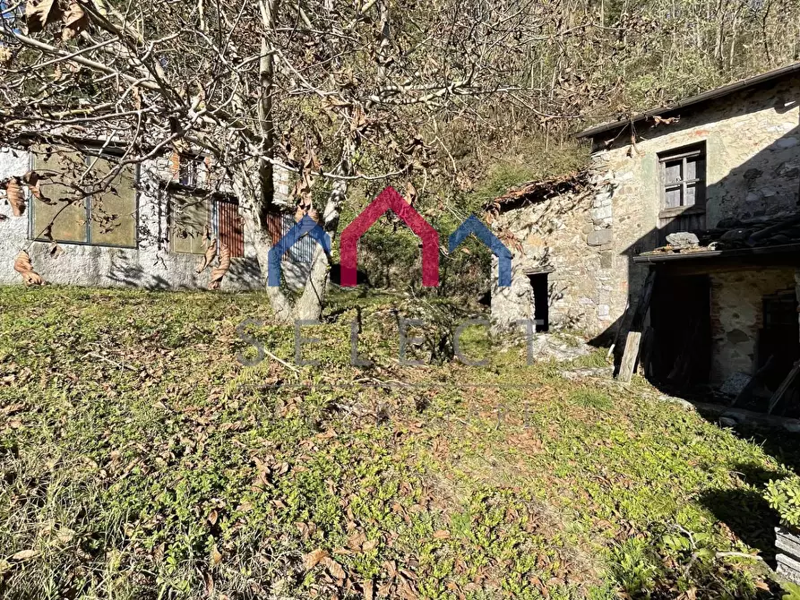 Immagine 36 di Rustico / casale in vendita  a Borgo A Mozzano