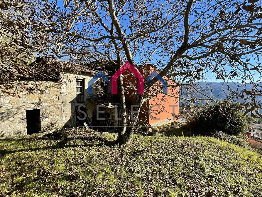 Immagine 22 di Rustico / casale in vendita  a Borgo A Mozzano