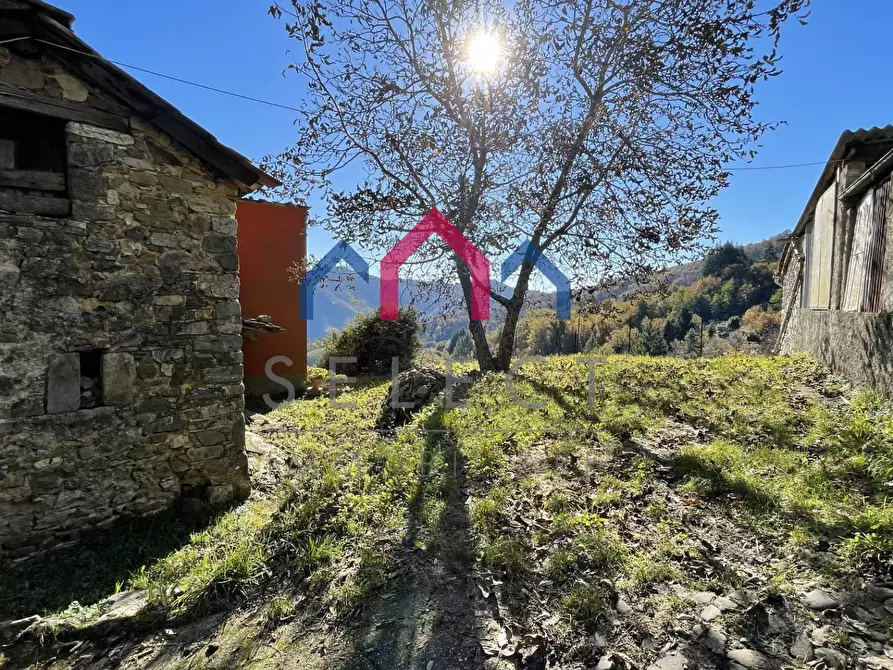Immagine 11 di Rustico / casale in vendita  a Borgo A Mozzano