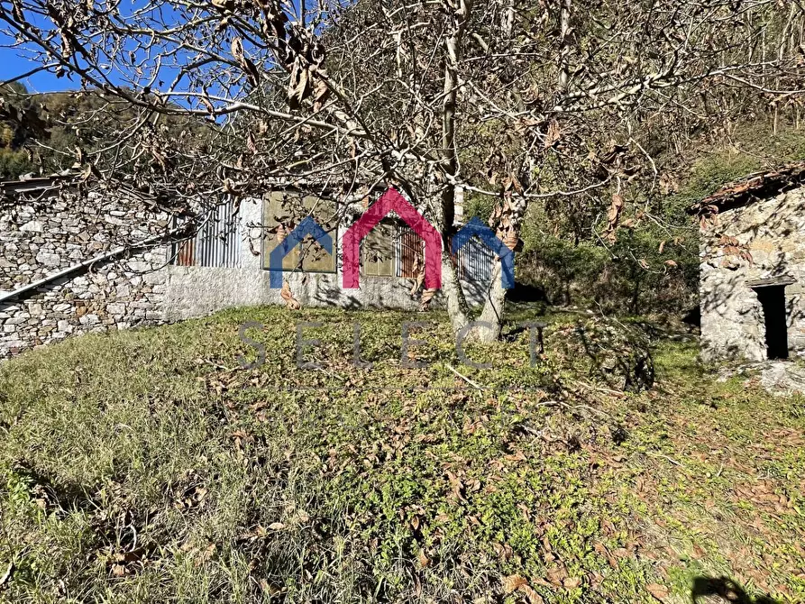 Immagine 35 di Rustico / casale in vendita  a Borgo A Mozzano