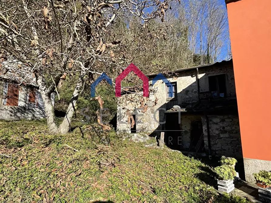 Immagine 37 di Rustico / casale in vendita  a Borgo A Mozzano