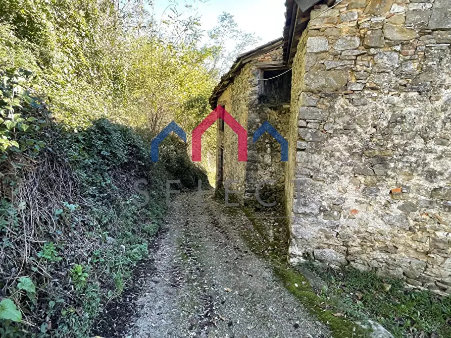 Immagine 3 di Rustico / casale in vendita  a Borgo A Mozzano