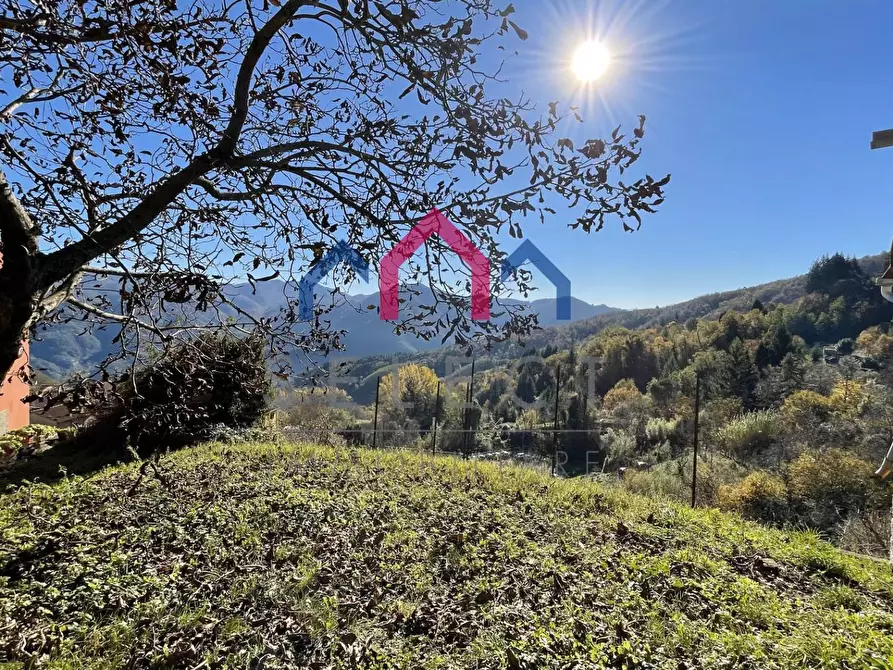 Immagine 43 di Rustico / casale in vendita  a Borgo A Mozzano