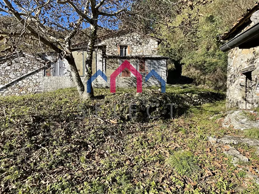 Immagine 41 di Rustico / casale in vendita  a Borgo A Mozzano