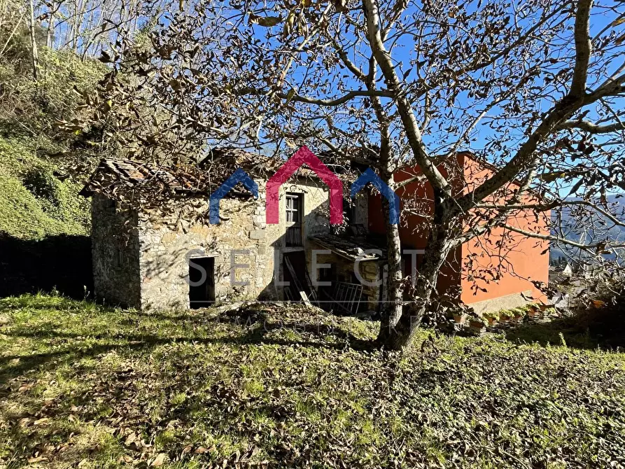 Immagine 23 di Rustico / casale in vendita  a Borgo A Mozzano