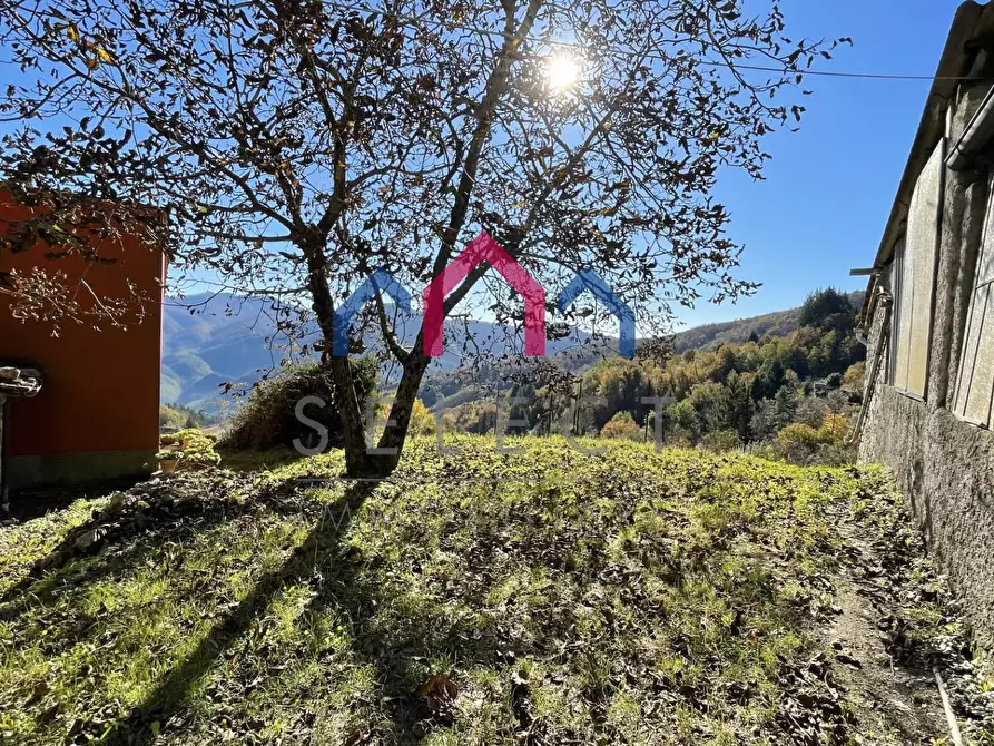 Immagine 12 di Rustico / casale in vendita  a Borgo A Mozzano