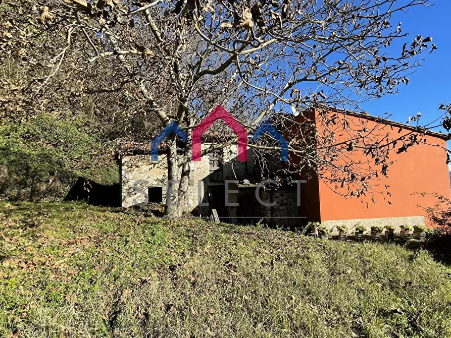 Immagine 39 di Rustico / casale in vendita  a Borgo A Mozzano