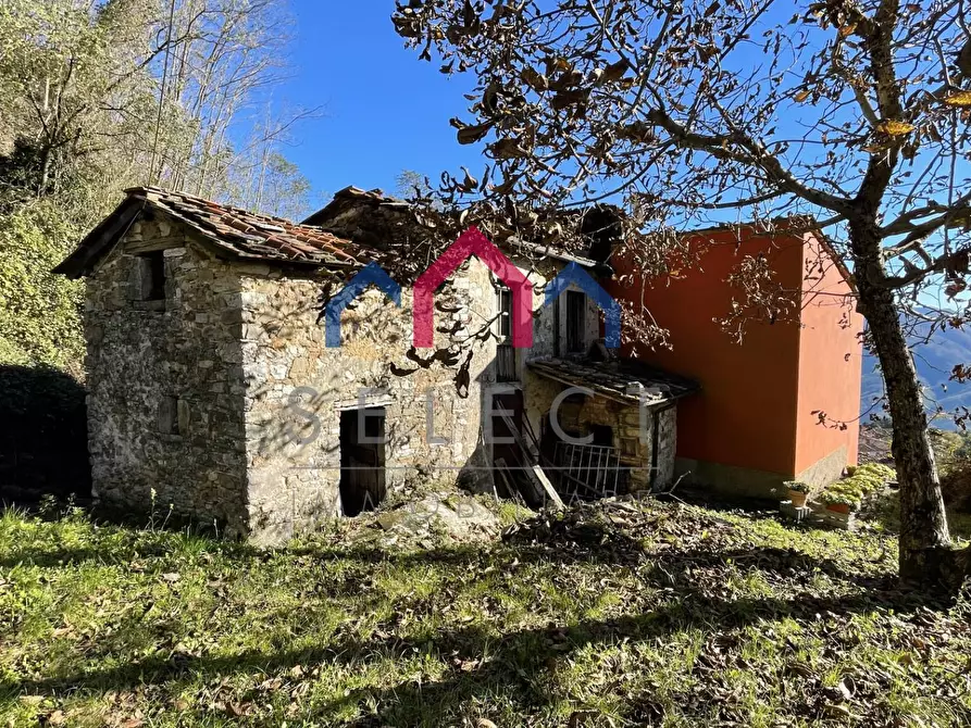 Immagine 16 di Rustico / casale in vendita  a Borgo A Mozzano