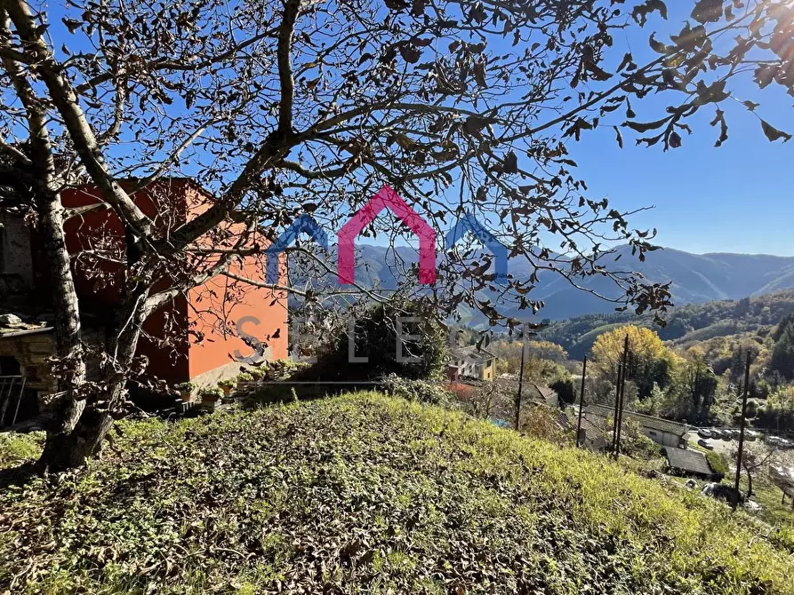 Immagine 38 di Rustico / casale in vendita  a Borgo A Mozzano