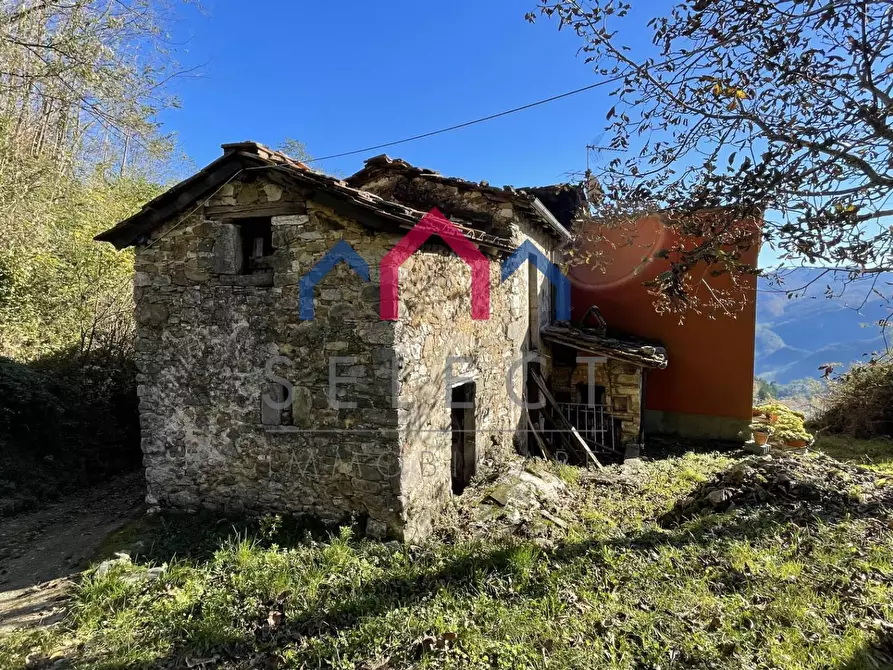 Immagine 7 di Rustico / casale in vendita  a Borgo A Mozzano