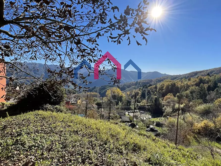 Immagine 2 di Rustico / casale in vendita  a Borgo A Mozzano