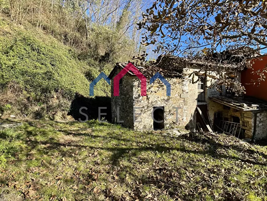 Immagine 15 di Rustico / casale in vendita  a Borgo A Mozzano