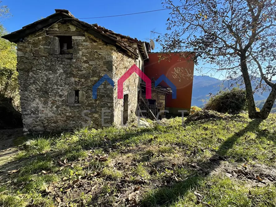 Immagine 13 di Rustico / casale in vendita  a Borgo A Mozzano