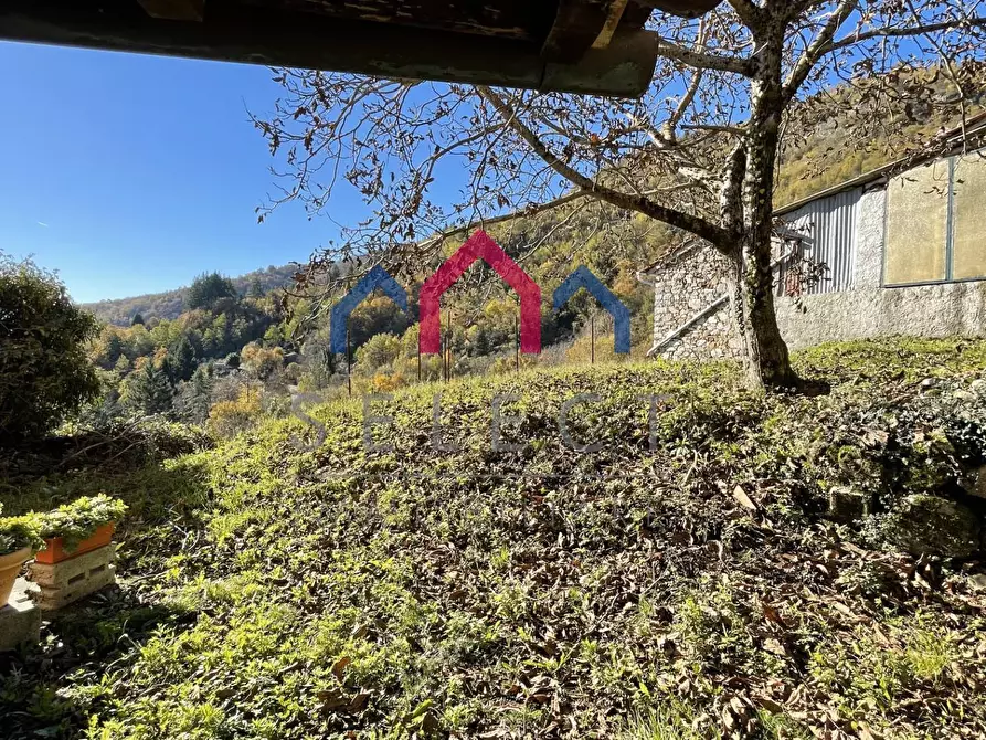 Immagine 40 di Rustico / casale in vendita  a Borgo A Mozzano