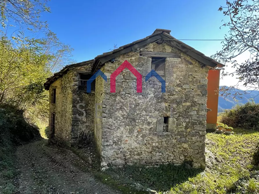 Immagine 5 di Rustico / casale in vendita  a Borgo A Mozzano