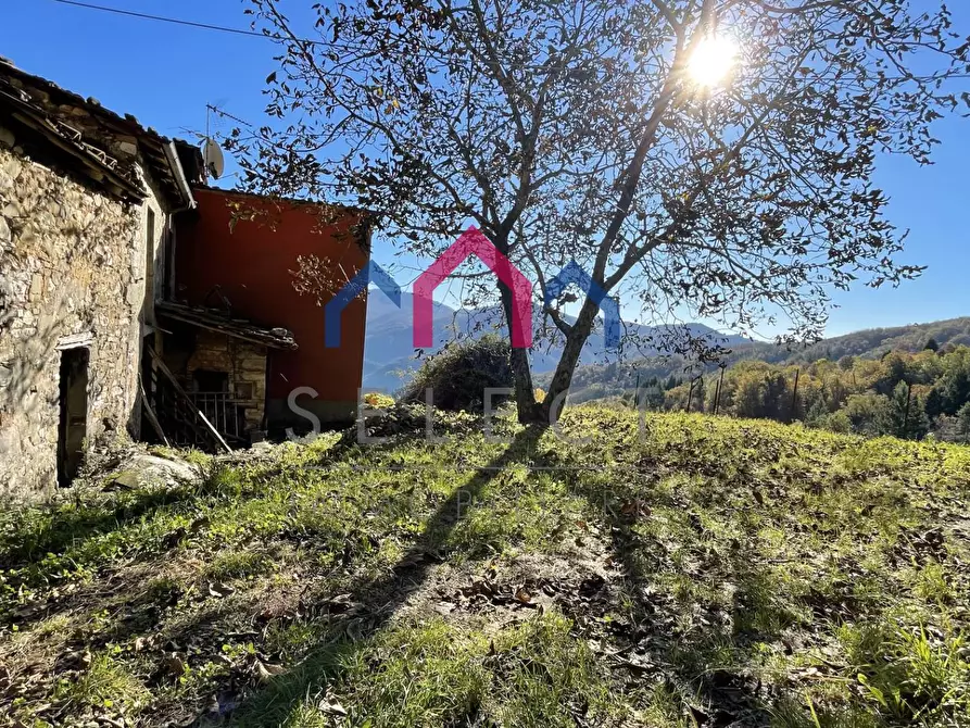Immagine 14 di Rustico / casale in vendita  a Borgo A Mozzano