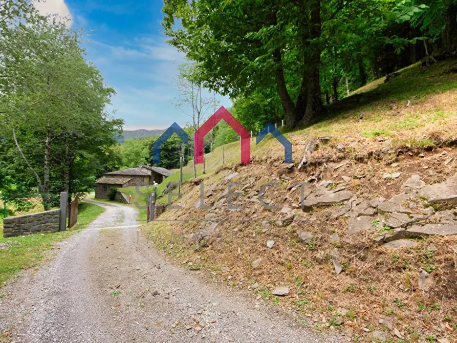 Immagine 3 di Rustico / casale in vendita  a Abetone Cutigliano