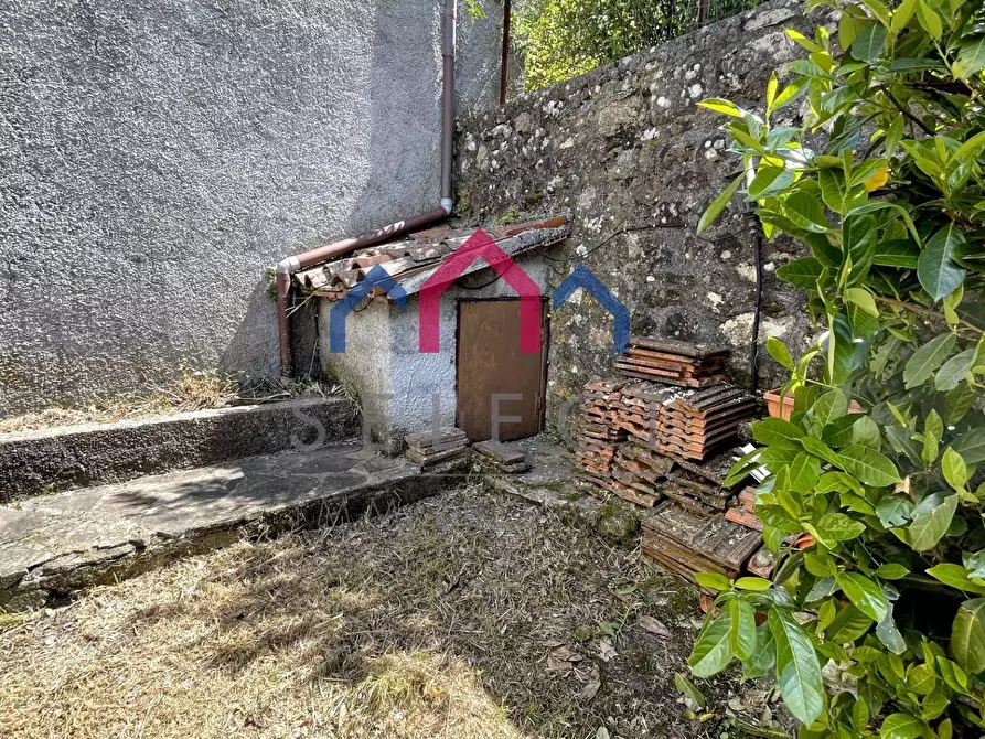 Immagine 57 di Terratetto in vendita  a Bagni Di Lucca