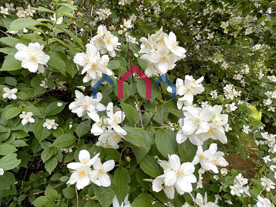 Immagine 37 di Villa in vendita  a Bagni Di Lucca