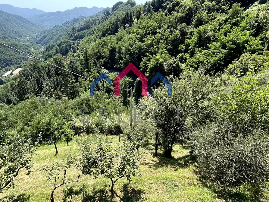 Immagine 62 di Rustico / casale in vendita  a Coreglia Antelminelli