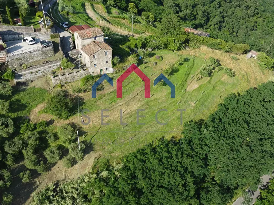 Immagine 8 di Rustico / casale in vendita  a Coreglia Antelminelli