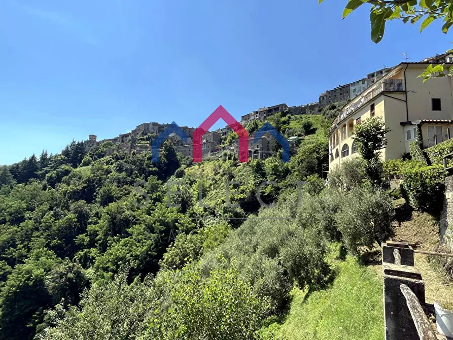 Immagine 38 di Rustico / casale in vendita  a Coreglia Antelminelli