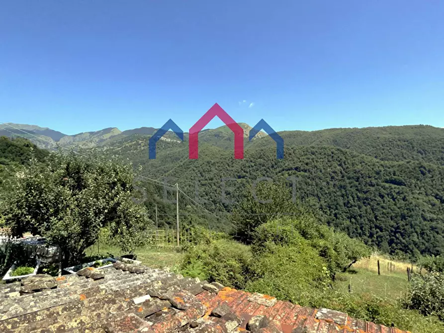 Immagine 72 di Rustico / casale in vendita  a Coreglia Antelminelli