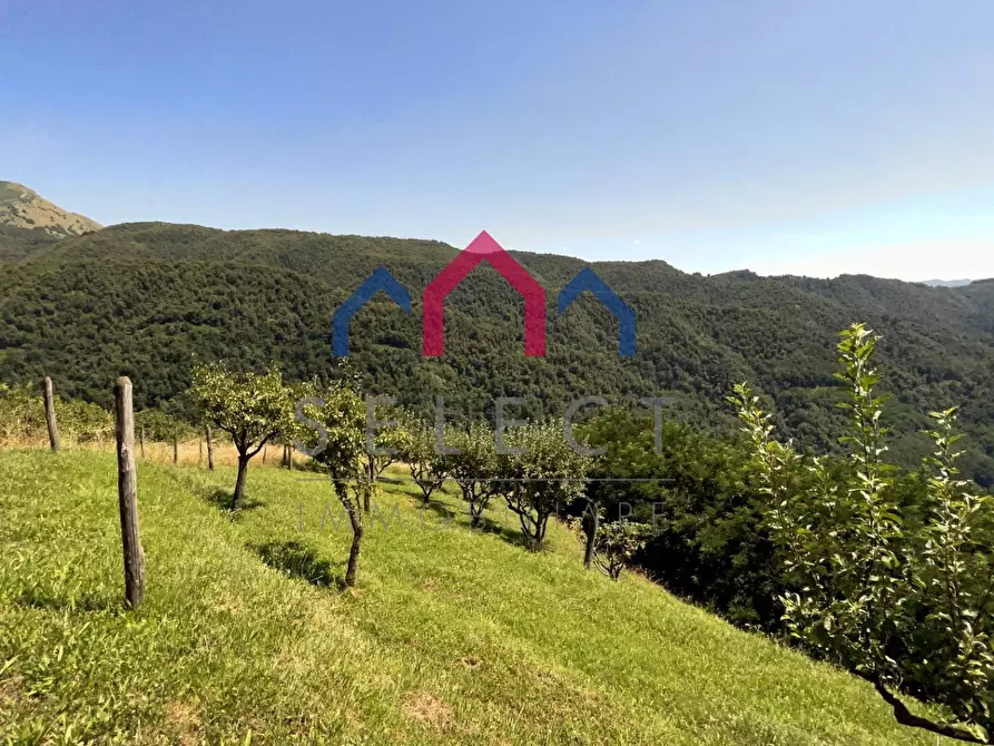 Immagine 70 di Rustico / casale in vendita  a Coreglia Antelminelli