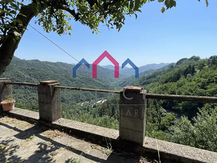 Immagine 36 di Rustico / casale in vendita  a Coreglia Antelminelli