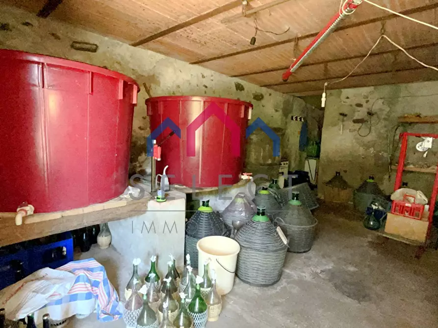 Immagine 43 di Rustico / casale in vendita  a Coreglia Antelminelli