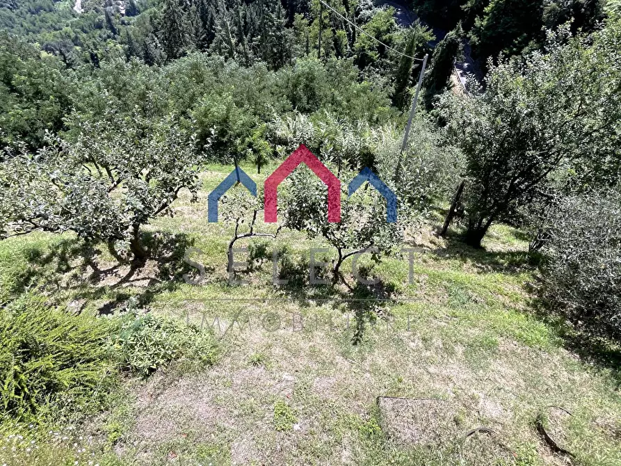 Immagine 64 di Rustico / casale in vendita  a Coreglia Antelminelli