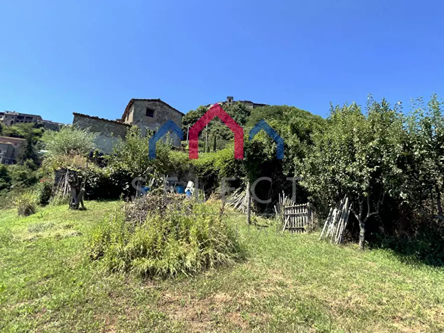 Immagine 66 di Rustico / casale in vendita  a Coreglia Antelminelli