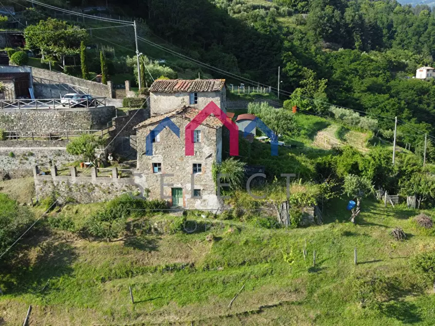 Immagine 16 di Rustico / casale in vendita  a Coreglia Antelminelli