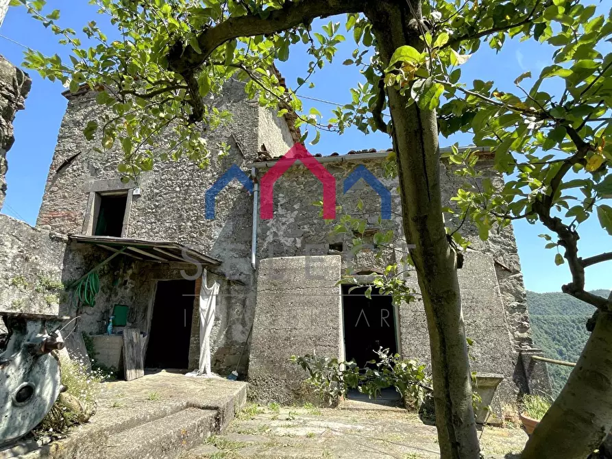 Immagine 34 di Rustico / casale in vendita  a Coreglia Antelminelli