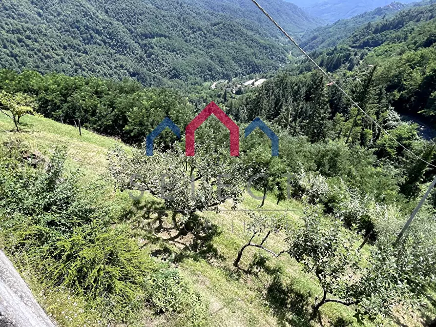 Immagine 63 di Rustico / casale in vendita  a Coreglia Antelminelli