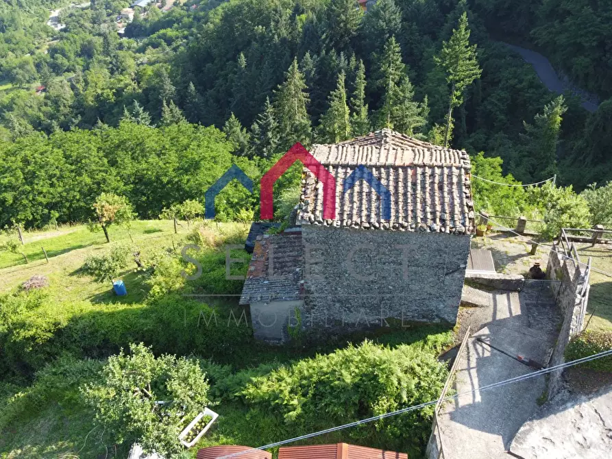 Immagine 20 di Rustico / casale in vendita  a Coreglia Antelminelli