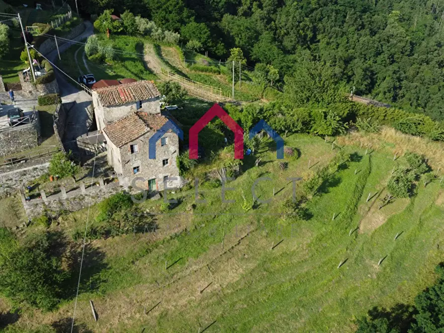 Immagine 23 di Rustico / casale in vendita  a Coreglia Antelminelli