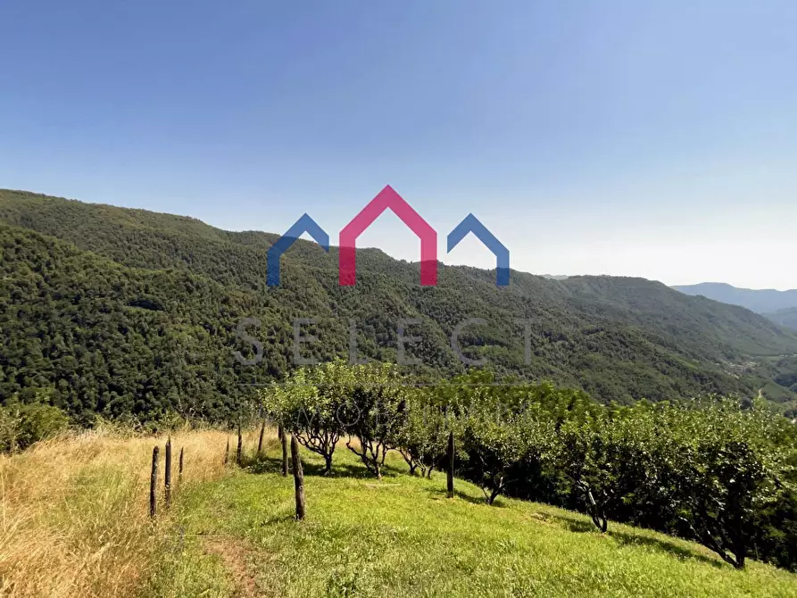 Immagine 69 di Rustico / casale in vendita  a Coreglia Antelminelli