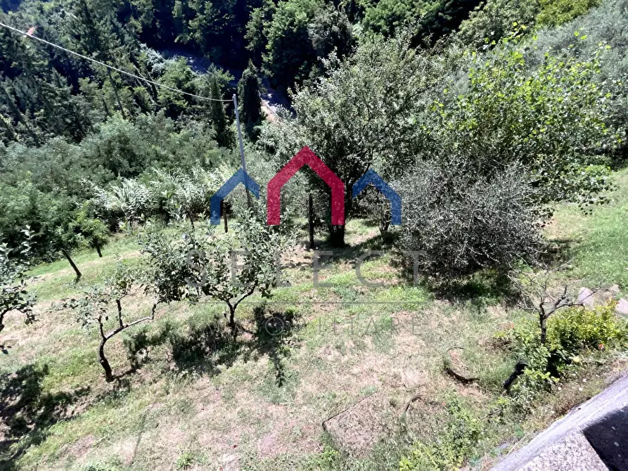 Immagine 65 di Rustico / casale in vendita  a Coreglia Antelminelli