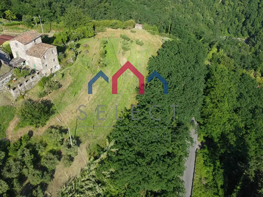 Immagine 9 di Rustico / casale in vendita  a Coreglia Antelminelli