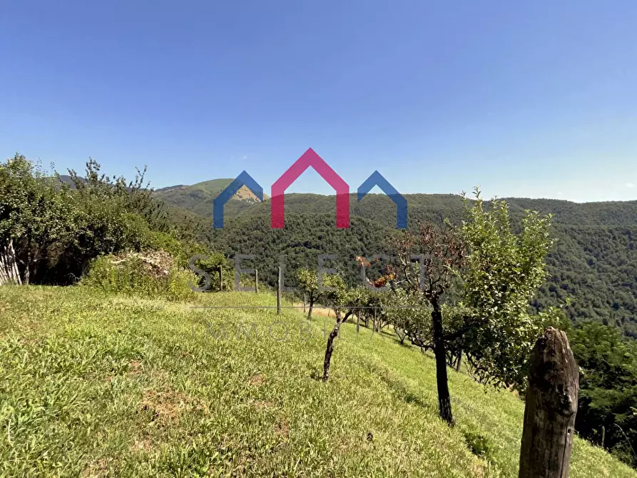 Immagine 71 di Rustico / casale in vendita  a Coreglia Antelminelli