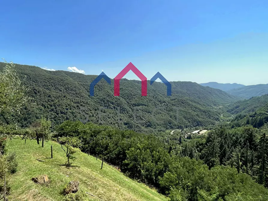 Immagine 59 di Rustico / casale in vendita  a Coreglia Antelminelli