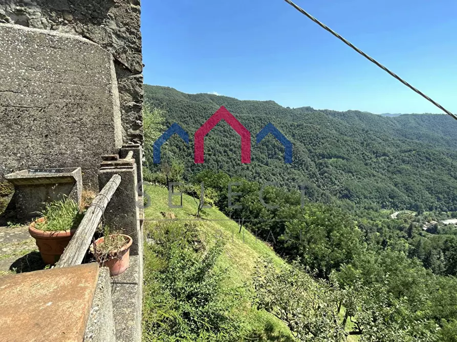 Immagine 37 di Rustico / casale in vendita  a Coreglia Antelminelli