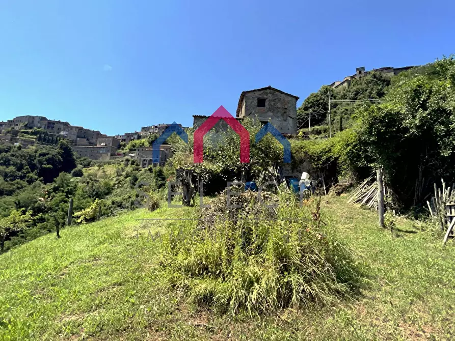 Immagine 67 di Rustico / casale in vendita  a Coreglia Antelminelli