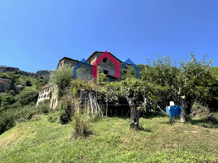 Immagine 41 di Rustico / casale in vendita  a Coreglia Antelminelli