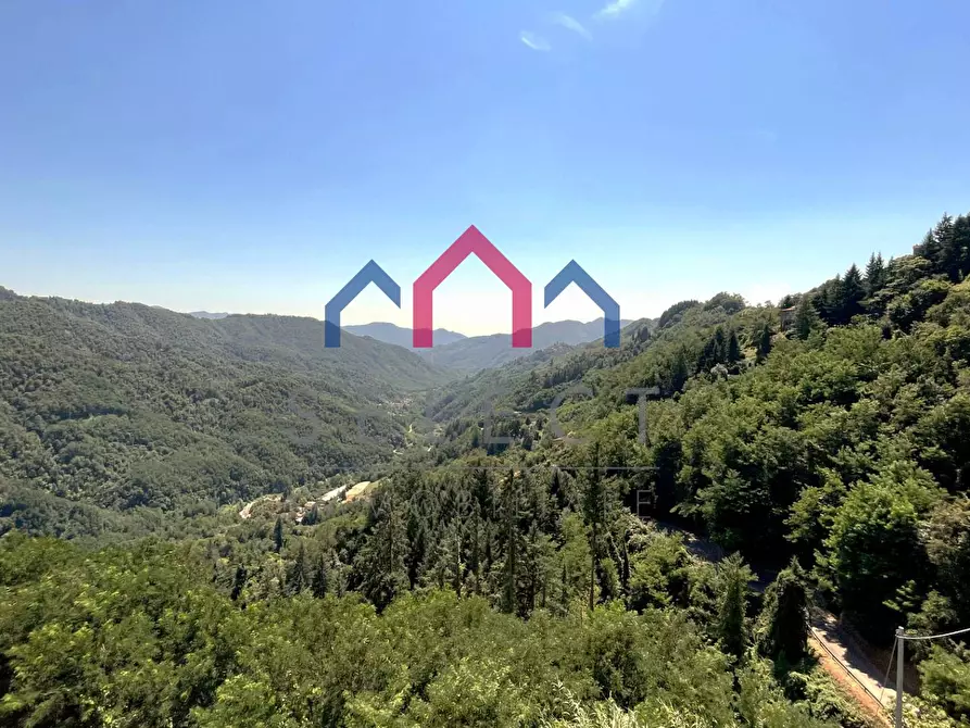 Immagine 60 di Rustico / casale in vendita  a Coreglia Antelminelli