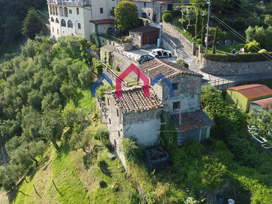 Immagine 17 di Rustico / casale in vendita  a Coreglia Antelminelli