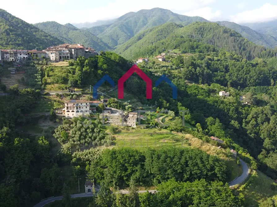 Immagine 28 di Rustico / casale in vendita  a Coreglia Antelminelli