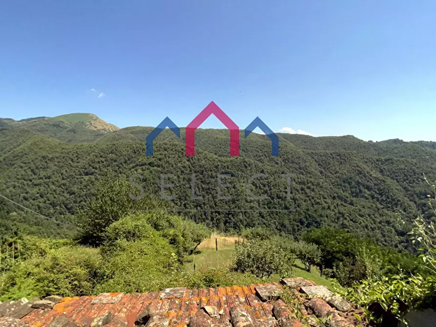 Immagine 73 di Rustico / casale in vendita  a Coreglia Antelminelli