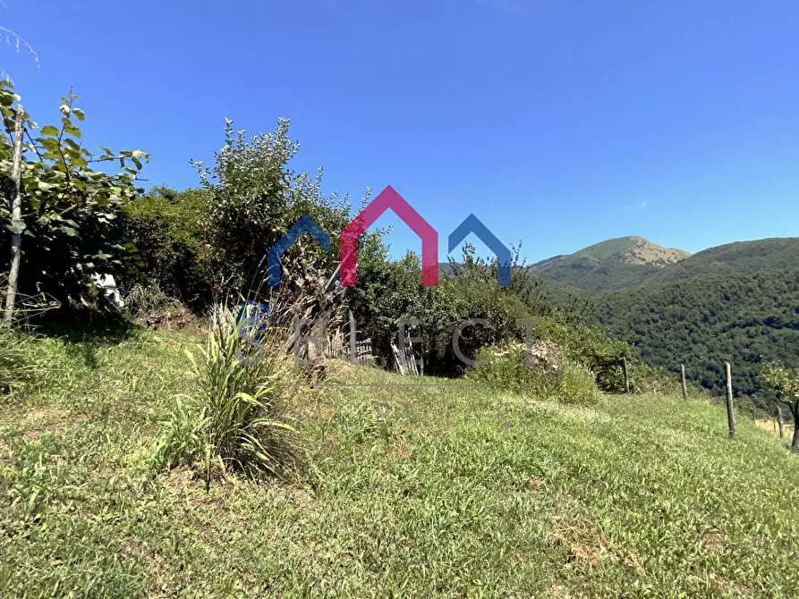 Immagine 42 di Rustico / casale in vendita  a Coreglia Antelminelli